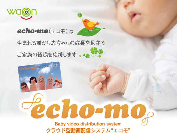 クラウド型動画配信サービスecho-mo