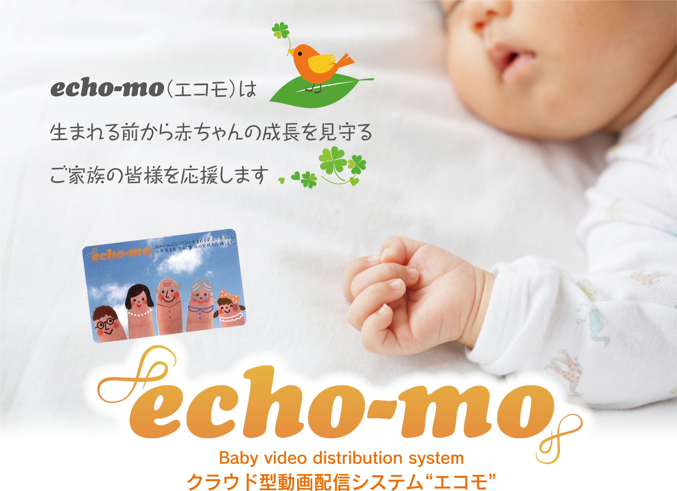 エコー動画配信サービスecho-mo（エコモ）